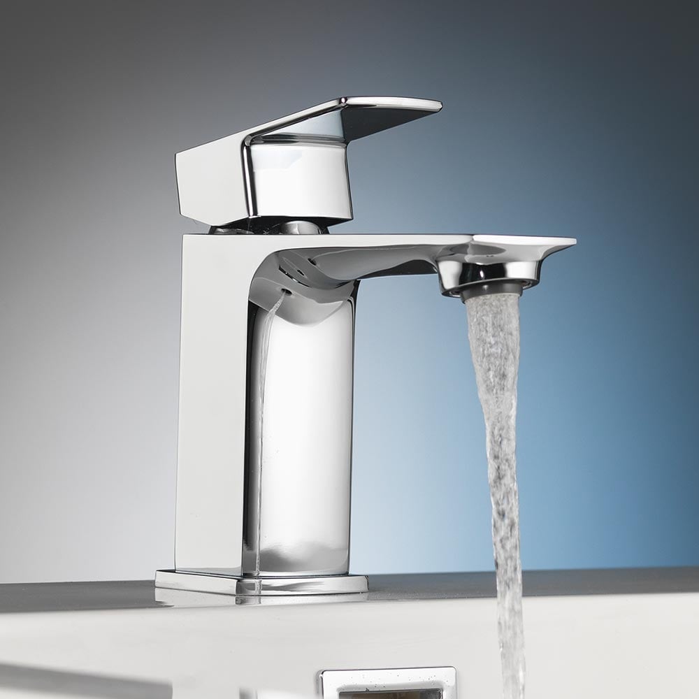 Arizona Basin Mono - Image 2