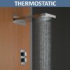 Rainfall Shower Head & Valve