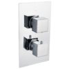 Rainfall Shower Head & Valve - Image 3